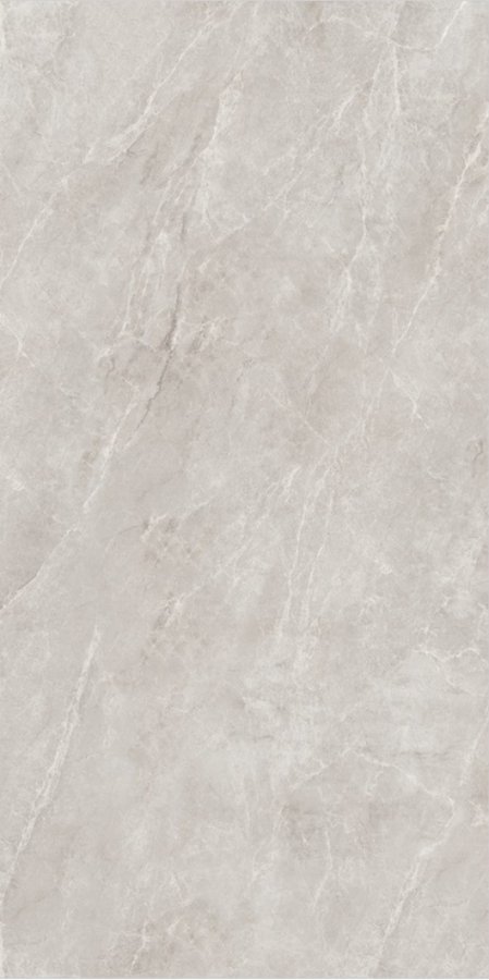Palladium Grey — Crystal Polish slab face