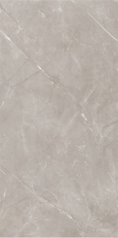 Vitra Grey — Crystal Polish slab face